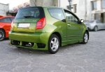 CITROEN C2:ZADNÝ NÁRAZNÍK WASP